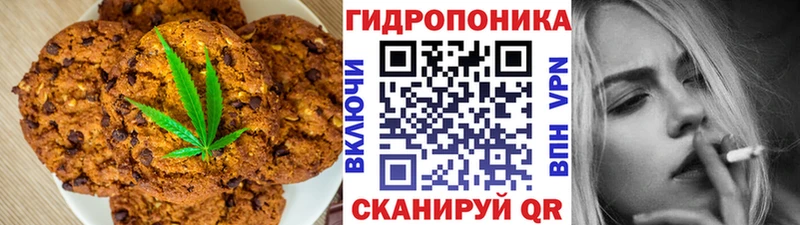 Купить где  Чудово  Canna-Cookies конопля 