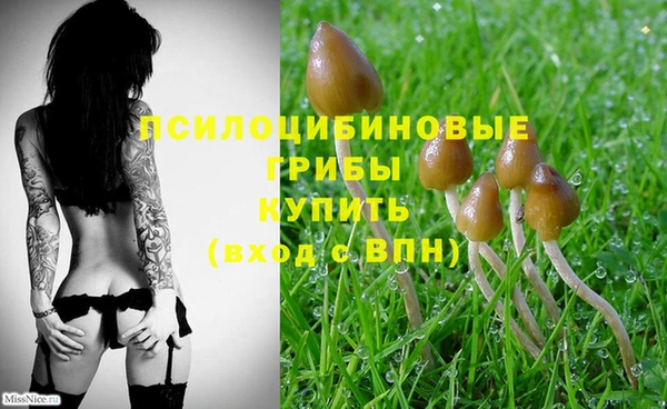 МДПВ Михайлов