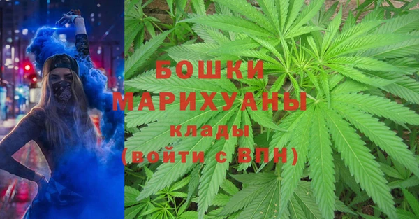 МДПВ Михайлов