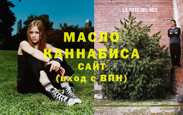 МДПВ Михайлов