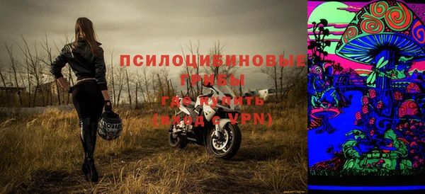 шишки Михайловка