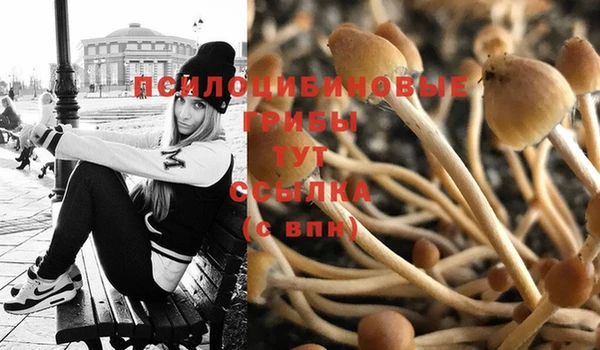 не бодяженный Михайловск