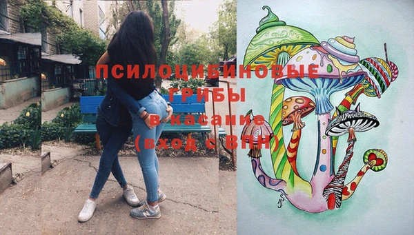 шишки Михайловка