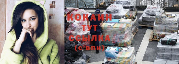 МДПВ Михайлов
