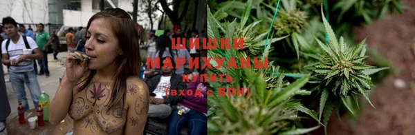 МДПВ Михайлов