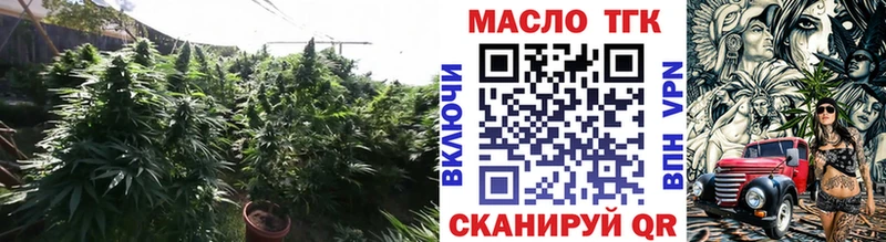 ТГК концентрат  Купить  Чудово 