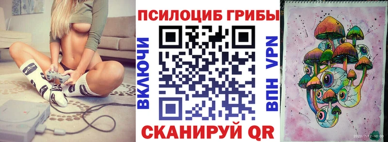 Купить где  Чудово  Галлюциногенные грибы прущие грибы 